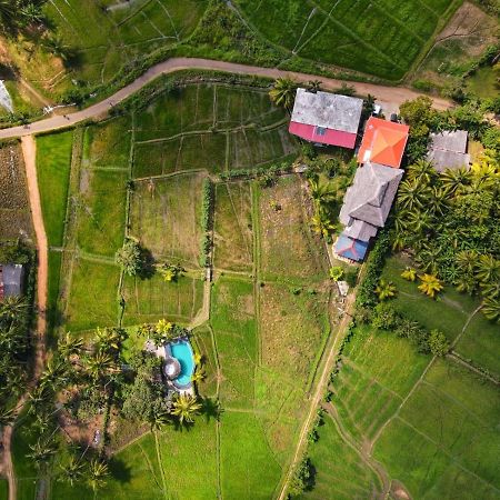Nelu Villa סיגירייה מראה חיצוני תמונה