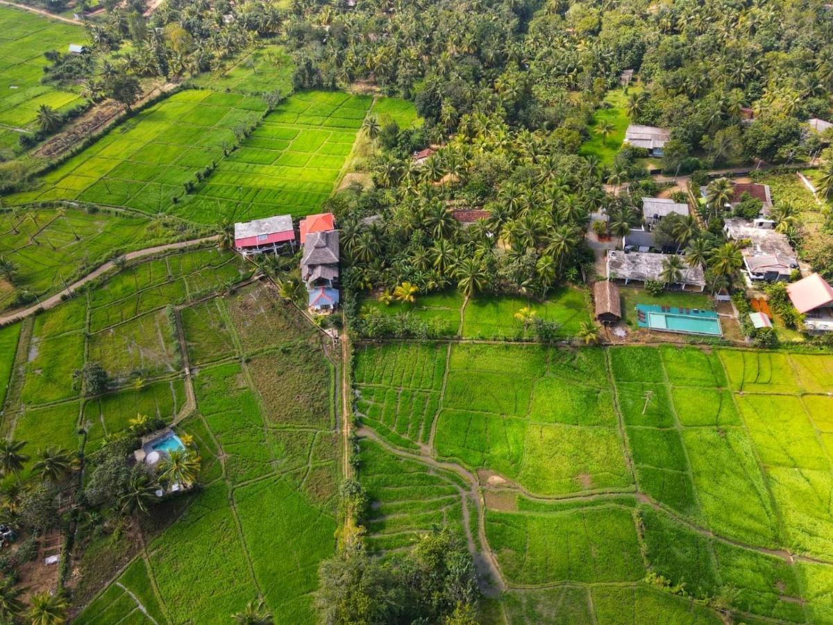 Nelu Villa סיגירייה מראה חיצוני תמונה