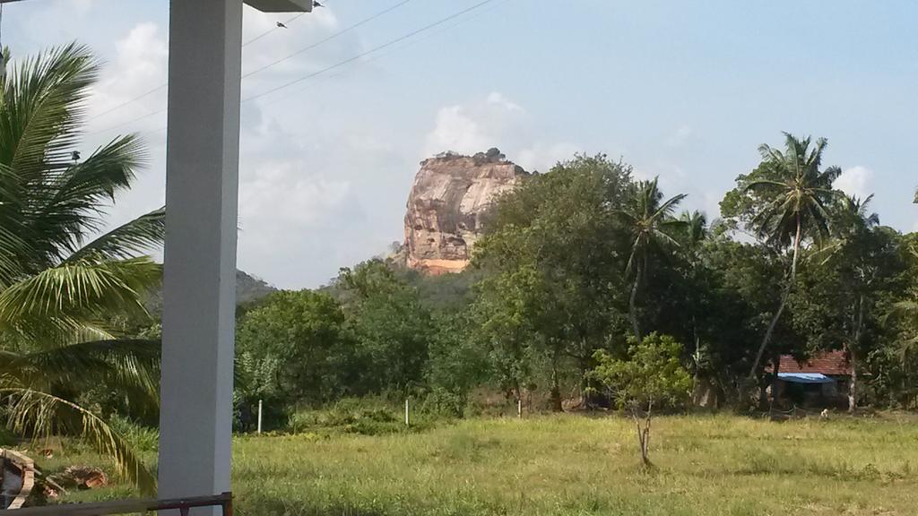 Nelu Villa סיגירייה מראה חיצוני תמונה