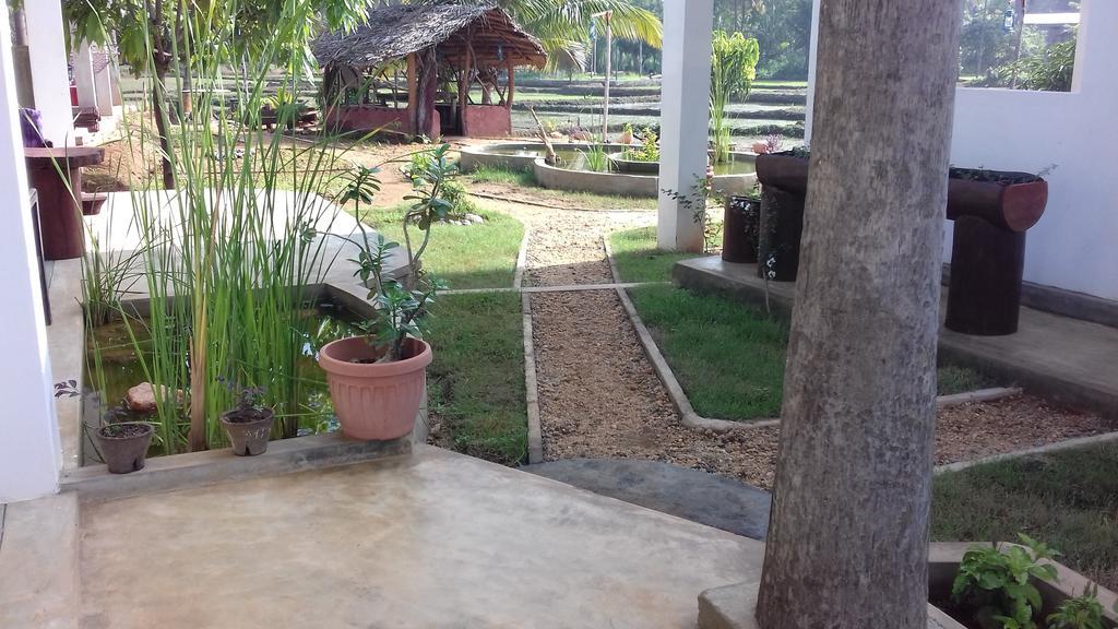 Nelu Villa סיגירייה מראה חיצוני תמונה