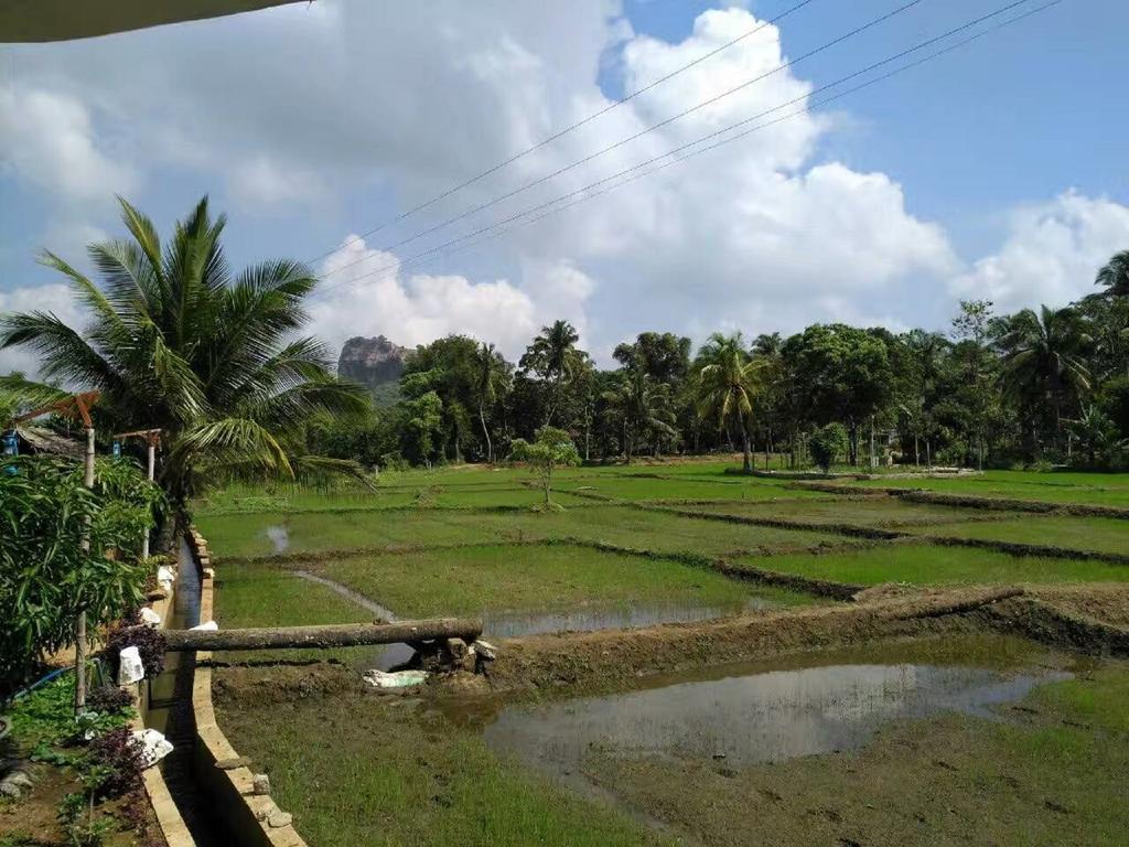 Nelu Villa סיגירייה מראה חיצוני תמונה