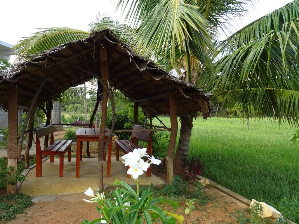 Nelu Villa סיגירייה מראה חיצוני תמונה