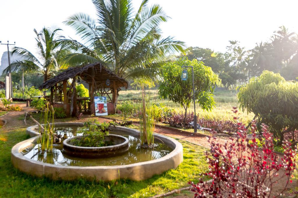 Nelu Villa סיגירייה מראה חיצוני תמונה