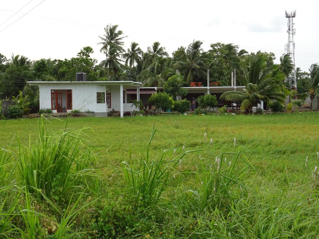 Nelu Villa סיגירייה מראה חיצוני תמונה