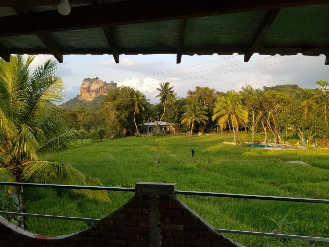Nelu Villa סיגירייה מראה חיצוני תמונה